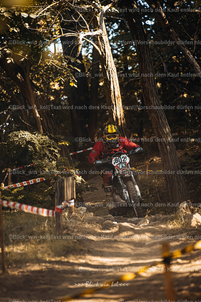 E68A5507 | blick_win_kel