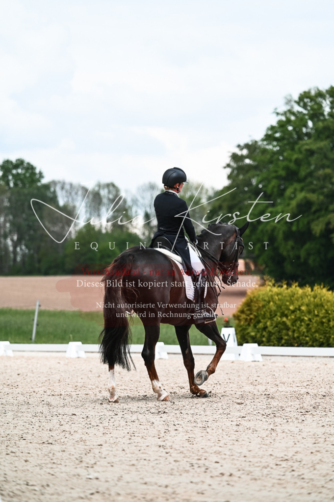 20230514_JK-Röhrsdorf-21-158 | Pferde- und Turnierfotografie in Westsachsen. Pferdeportraits, Auftragszeichnungen und intuitive Kunst.