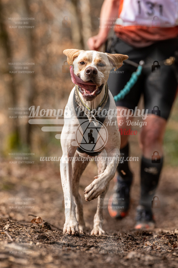 SPA_2023_DIM_Fun-39 | PayLife