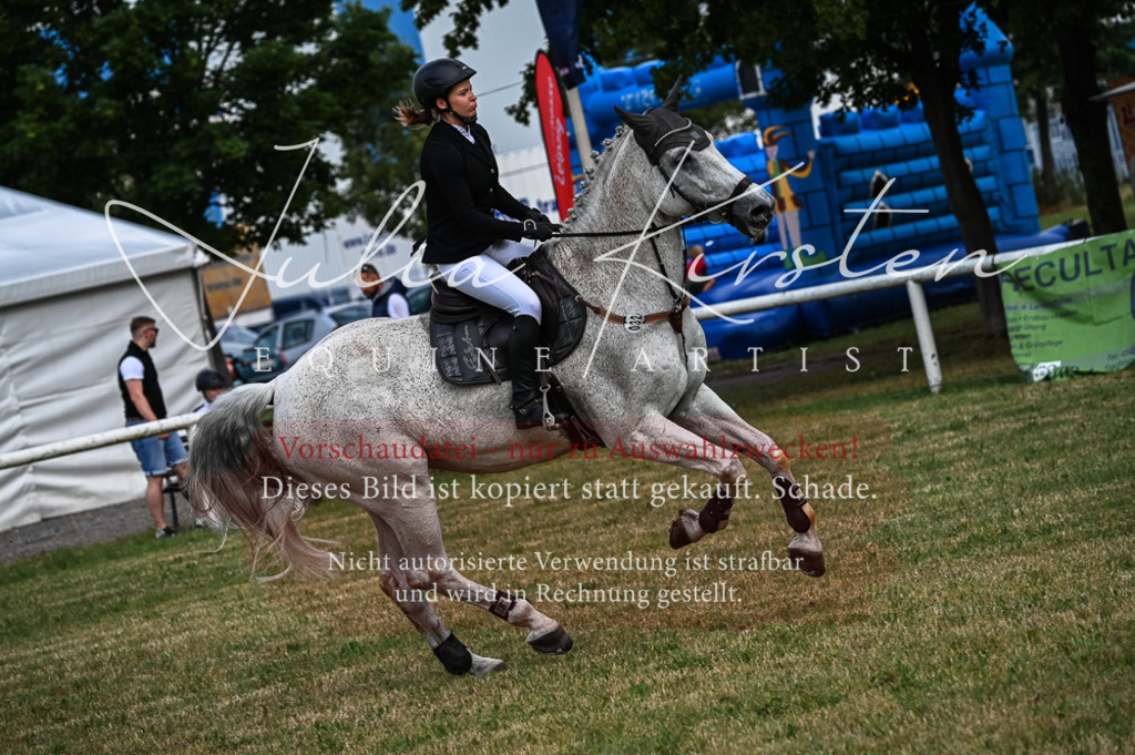 DSC_8335 | Pferde- und Turnierfotografie in Westsachsen. Pferdeportraits, Auftragszeichnungen und intuitive Kunst.
