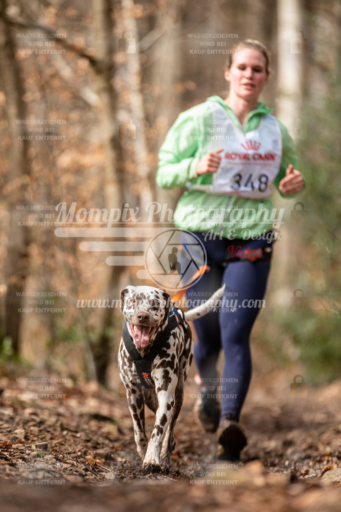 SPA_2023_DIM_CCK-185 | PayLife