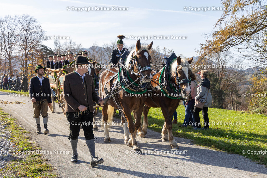 LBT24-1348 | foto-bettina-krinner - Realisiert mit Pictrs.com