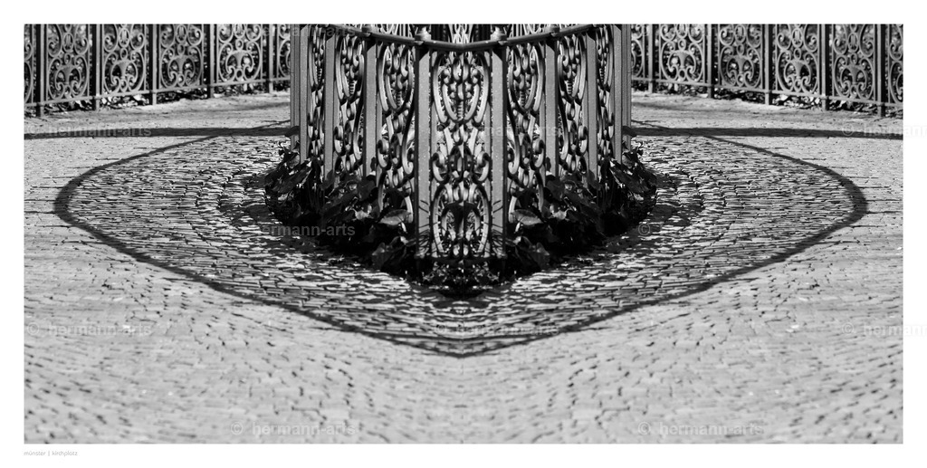 Hermann-Arts_Spiegelbilder_038 | Photo Foto Kunst Art schwarzweiss Bilder Rheine Münster Berlin Blumen 