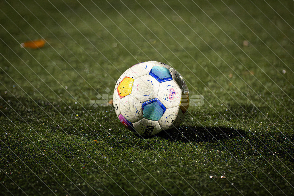20251115_Picselweb-Fotografie_1R3_0748 | Dein Fotograf aus dem Landkreis Stade für Sport und Events - Realisiert mit Pictrs.com