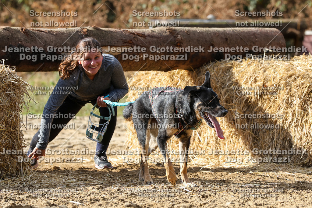 Dog Paparazzi - Strongdog 10-25-5113 | Dog Paparazzi Jeanette Grottendiek Fotografie & Videografie - Realisiert mit Pictrs.com