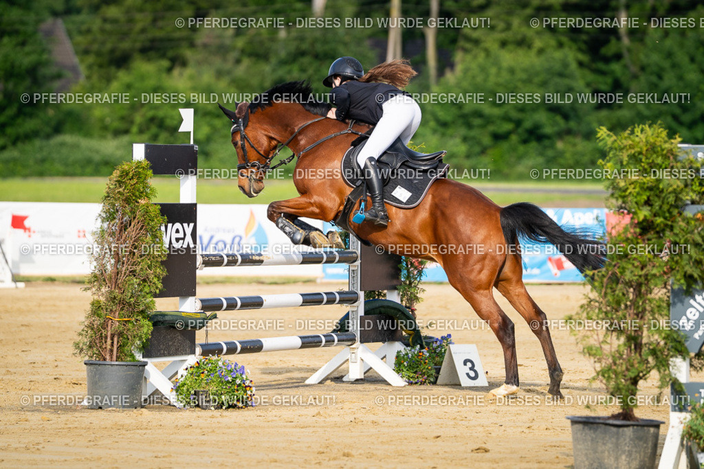 DSC02721 | Pferdegrafie