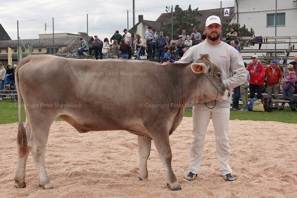 DSC02080 | Schwingen - Realisiert mit Pictrs.com