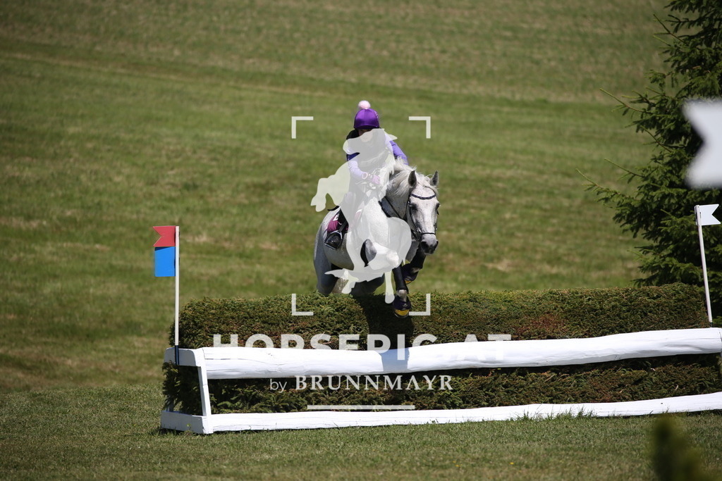 DL2Q1561 | Willkommen bei Brunnmayr - Design & Fotografie – Ihrem Spezialisten für Reitturniere und Pferdeveranstaltungen in Oberösterreich, Salzburg und Bayern! Seit über 17 Jahren sind wir leidenschaftlich dabei.