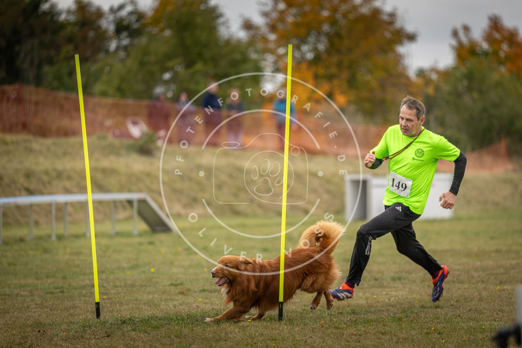 Pfotenfotografie_DV3A6338 | Hundefotografie, Tierfotograf, Pfotenfotografie, Fotoshooting Hund, Hunde Portrait, Hundesport, Hundeportraits, Heideshooting, Hunde, Sportfotograf, Hundefotograf, Turnierhundsport, THS,  - Realisiert mit Pictrs.com