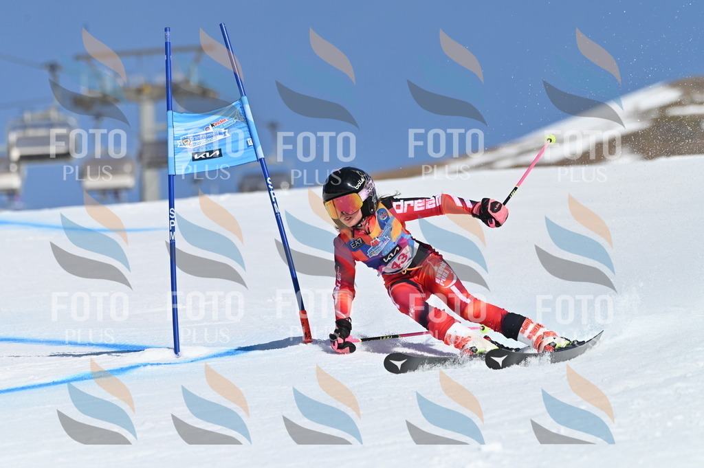 BGV_8412 | holidayphoto