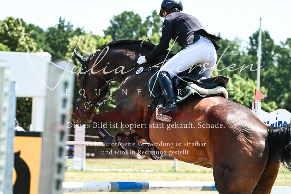 DSC_0165 | Pferde- und Turnierfotografie in Westsachsen. Pferdeportraits, Auftragszeichnungen und intuitive Kunst.