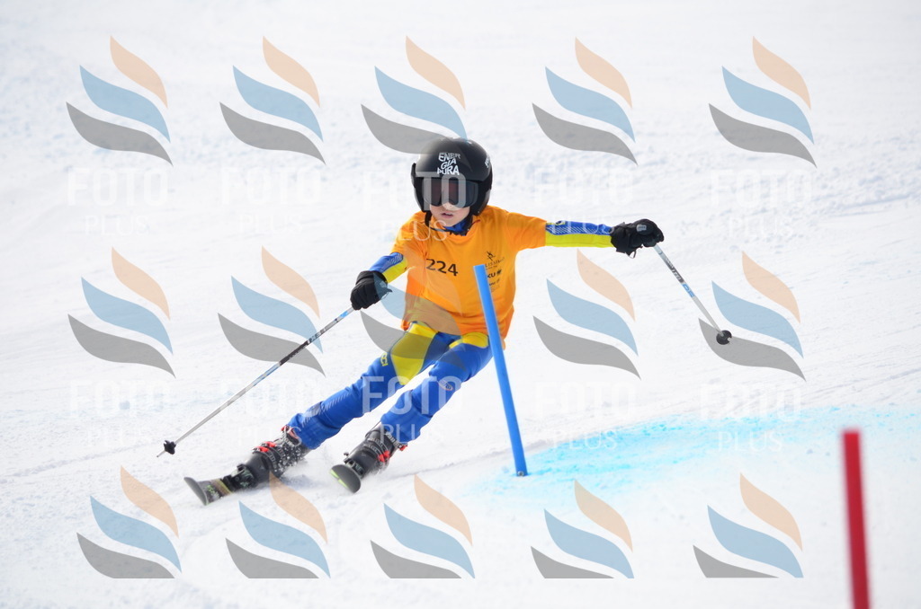 C8265 | holidayphoto