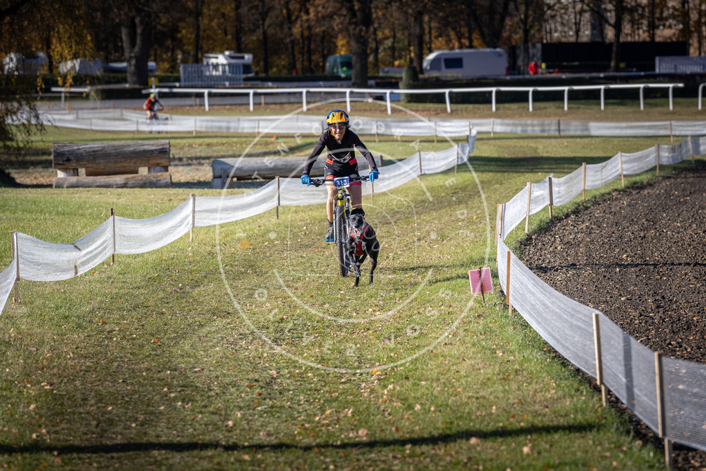 CaniXpix_DV3A6355 | Hundefotografie, Tierfotograf, Pfotenfotografie, Fotoshooting Hund, Hunde Portrait, Hundesport, Hundeportraits, Heideshooting, Hunde, Sportfotograf, Hundefotograf, Turnierhundsport, THS,  - Realisiert mit Pictrs.com