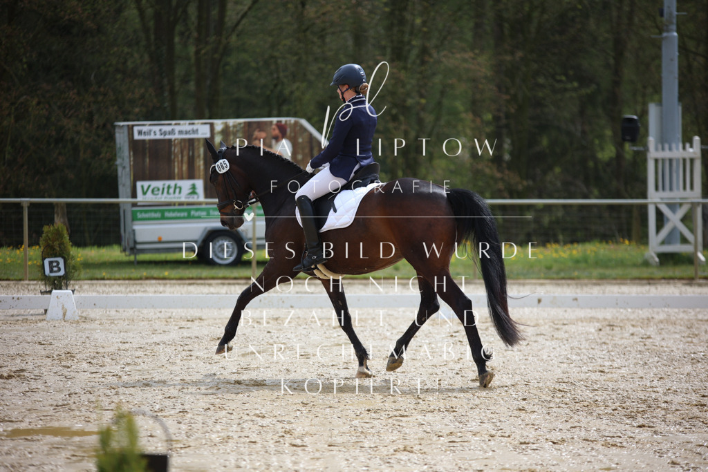 IMGT2697 | pl-fotografie