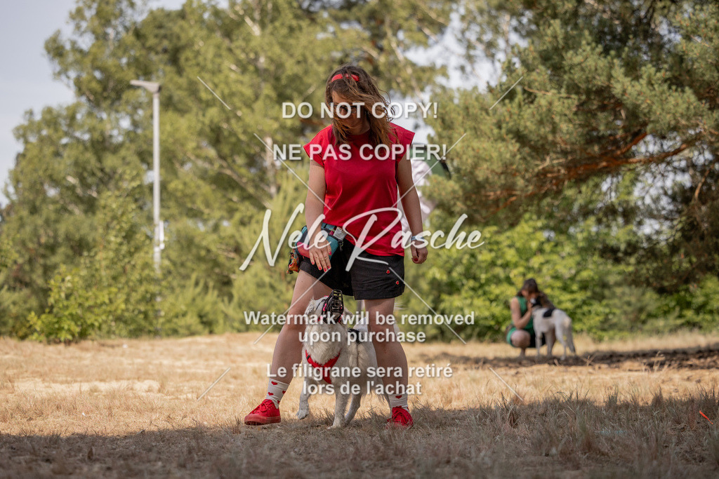 nelerasche_soDD2_402 | nelerasche