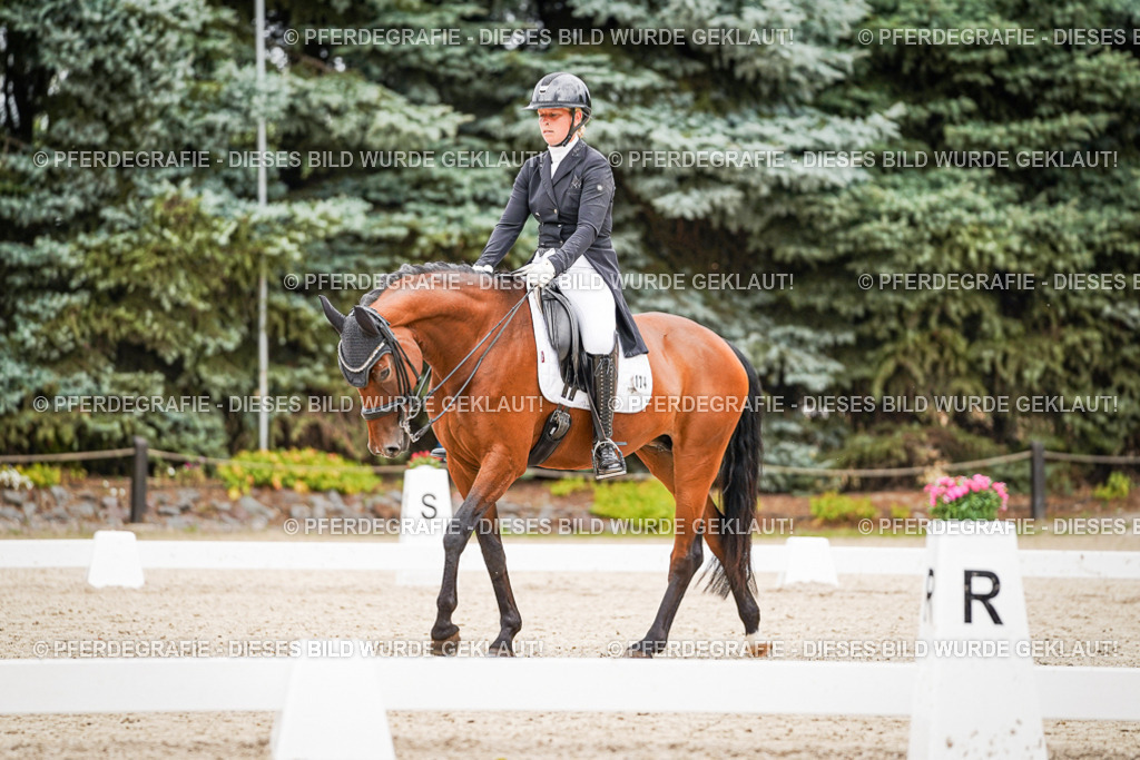 DSC07244 | Pferdegrafie