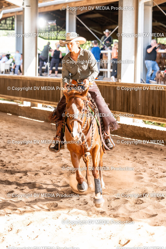 Erbach Tag 1-0948 | dv-media-shop - Realisiert mit Pictrs.com