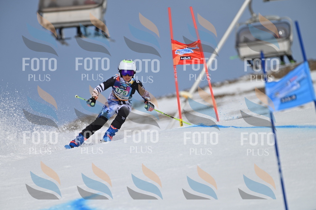 BGV_3443 | holidayphoto