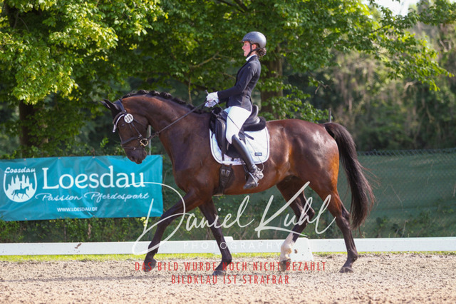 DKP42993 | Turniersportfotografie; Pferdefotografie; Dressurfotografie