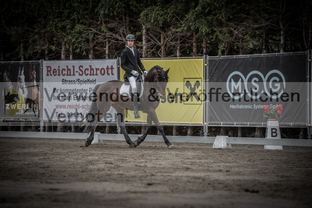 DSC_9363 | equestrian-live-com