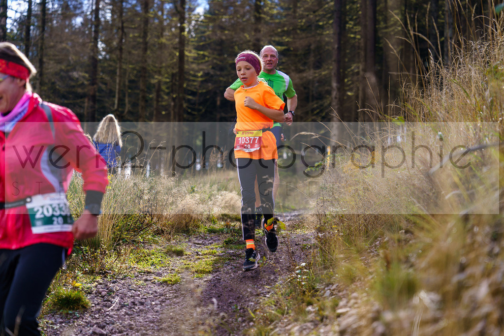 Herbstlauf 2024 | Rennsteig-Herbstlauf von Neuhaus am Rennweg nach Masserberg am 6. Oktober 2024