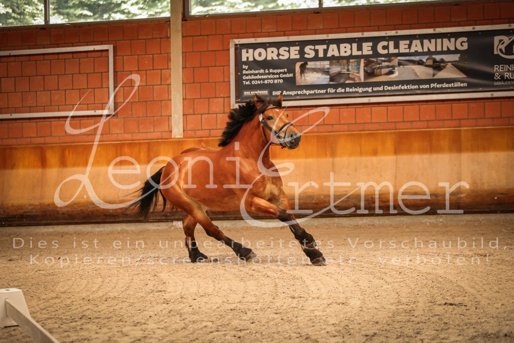 SaFL00019 | Leoni Ertmer Photography - Realisiert mit Pictrs.com