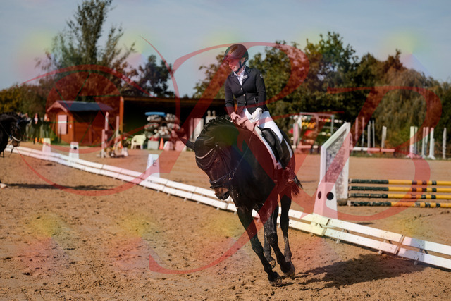 2026_10_03_Siefer-Hof_121711_Z63_40976353 | Professionelle Reitsport-, Turnier- und Eventfotografie von Robert Broda. Galerien mit ausgewählten und bearbeiteten Bildern direkt online ansehen und bestellen.