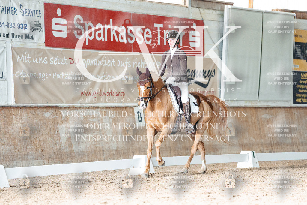 CK902952 | Turnierfotografie Pferdefotografie Trier Rheinland-Pfalz Pferdesport Reitsport Tierfotografie Sportfotografie Pferdevideo Pferdevideografie Equestrianvideography equestrianphotography  - Realisiert mit Pictrs.com