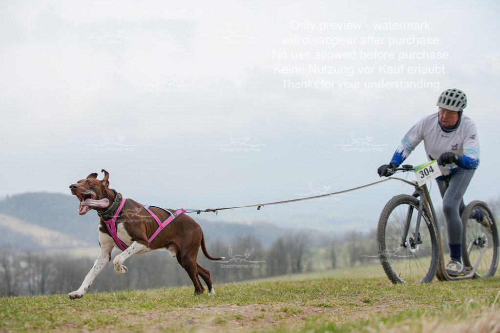 ScooterSA-28 | stephaniefillaphotographie - Realisiert mit Pictrs.com