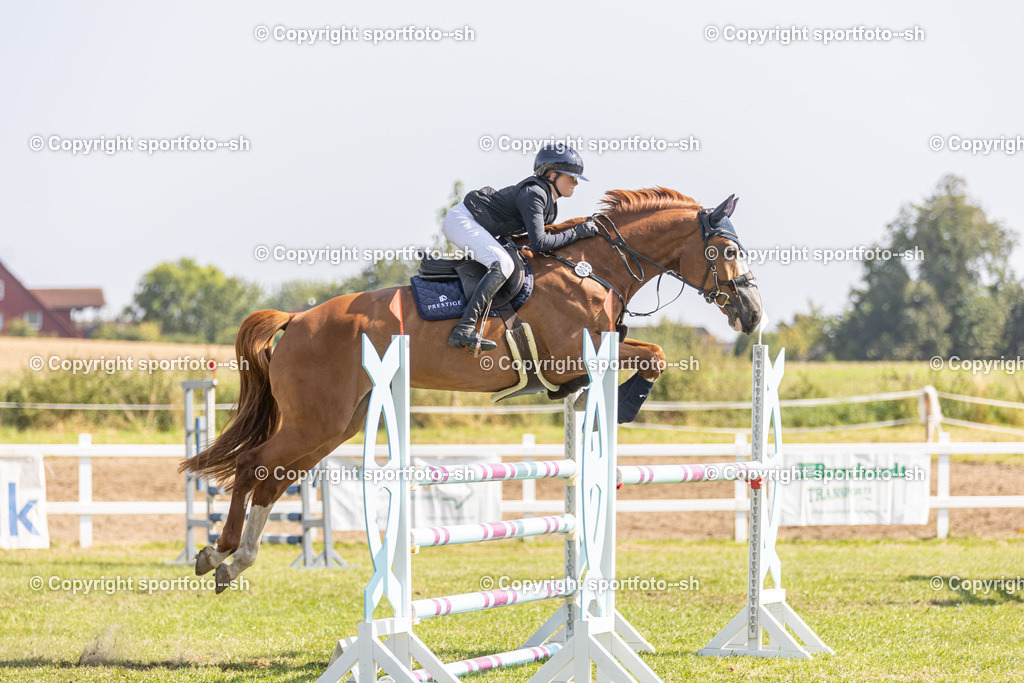 240831-VW-IS6A4324 | Sportfoto SH - Realisiert mit Pictrs.com