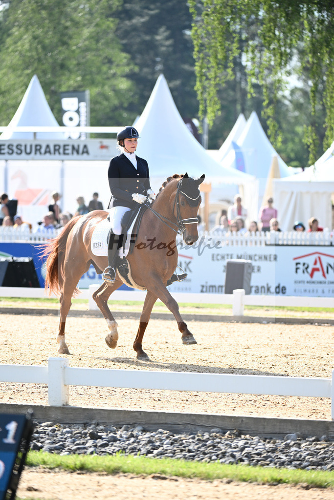 Schmidt_Qazim_12241398 | hf-fotografie - Realisiert mit Pictrs.com