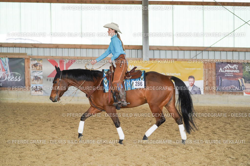 DSC00885 | Pferdegrafie