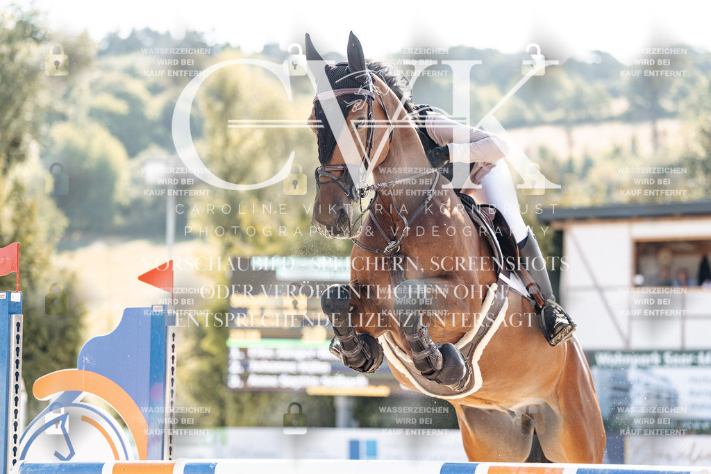 CK902227 | Turnierfotografie Pferdefotografie Trier Rheinland-Pfalz Pferdesport Reitsport Tierfotografie Sportfotografie Pferdevideo Pferdevideografie Equestrianvideography equestrianphotography  - Realisiert mit Pictrs.com