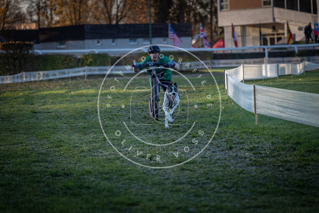 CaniXpix_0L8A1832 | Hundefotografie, Tierfotograf, Pfotenfotografie, Fotoshooting Hund, Hunde Portrait, Hundesport, Hundeportraits, Heideshooting, Hunde, Sportfotograf, Hundefotograf, Turnierhundsport, THS,  - Realisiert mit Pictrs.com