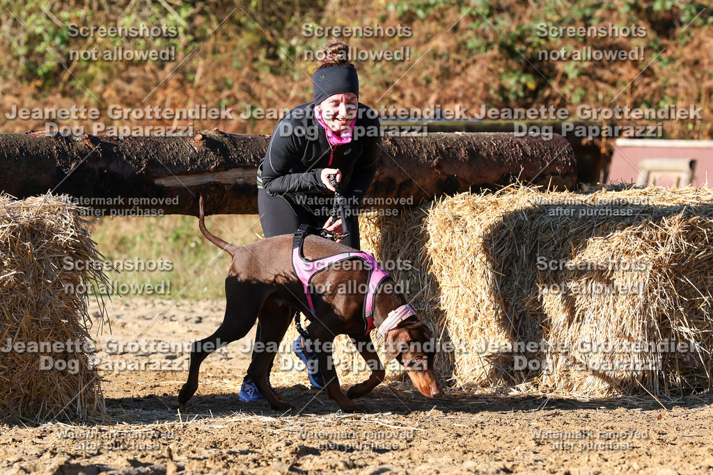 Dog Paparazzi - Strongdog 10-25-1430 | Dog Paparazzi Jeanette Grottendiek Fotografie & Videografie - Realisiert mit Pictrs.com
