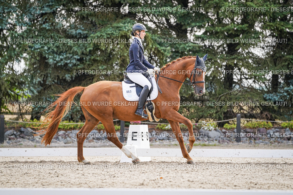 DSC00609 | Pferdegrafie