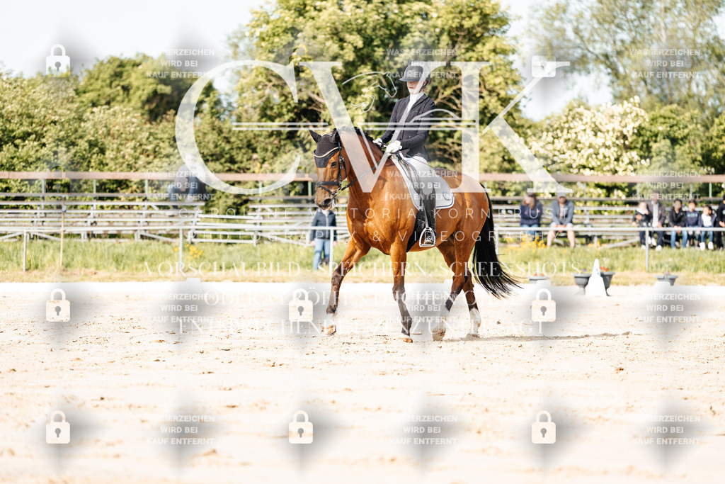 CK900144 | Turnierfotografie Pferdefotografie Trier Rheinland-Pfalz Pferdesport Reitsport Tierfotografie Sportfotografie Pferdevideo Pferdevideografie Equestrianvideography equestrianphotography  - Realisiert mit Pictrs.com