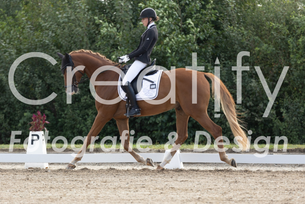 IMG_9806 | Creatify Fotografie