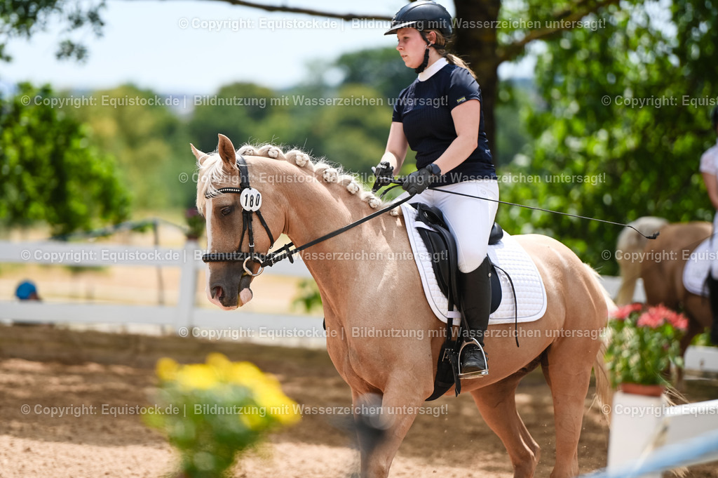 20230715_09_Dressur-WB_0538 | equistock