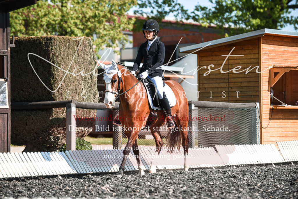 DSC_8709 | Pferde- und Turnierfotografie in Westsachsen. Pferdeportraits, Auftragszeichnungen und intuitive Kunst.