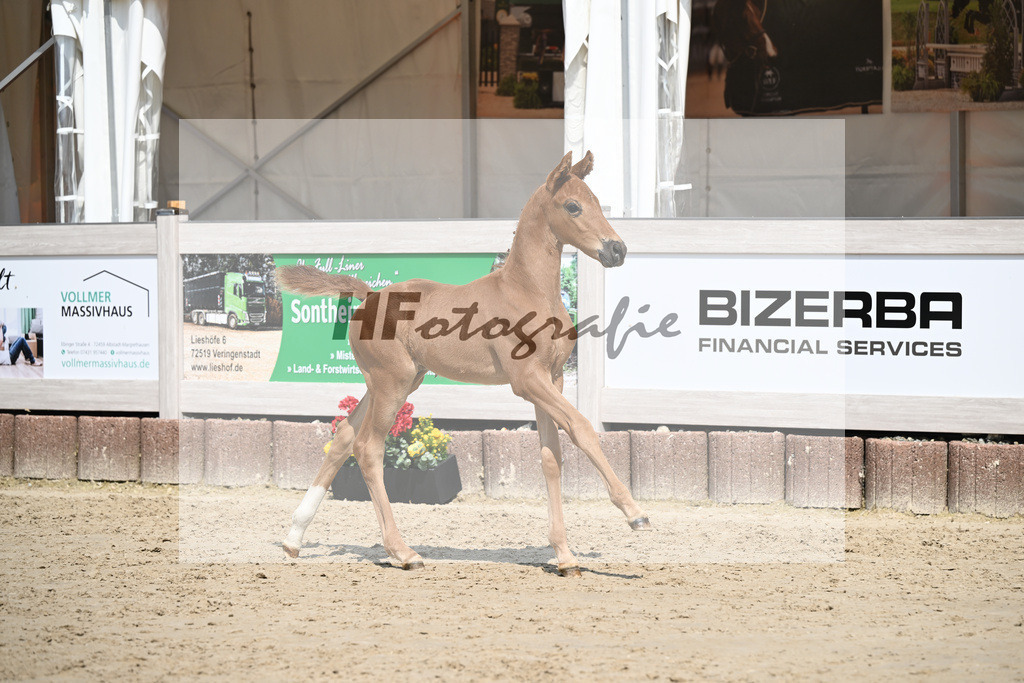Va Bene x Savoy_HF_Groll_12250368 | hf-fotografie - Realisiert mit Pictrs.com