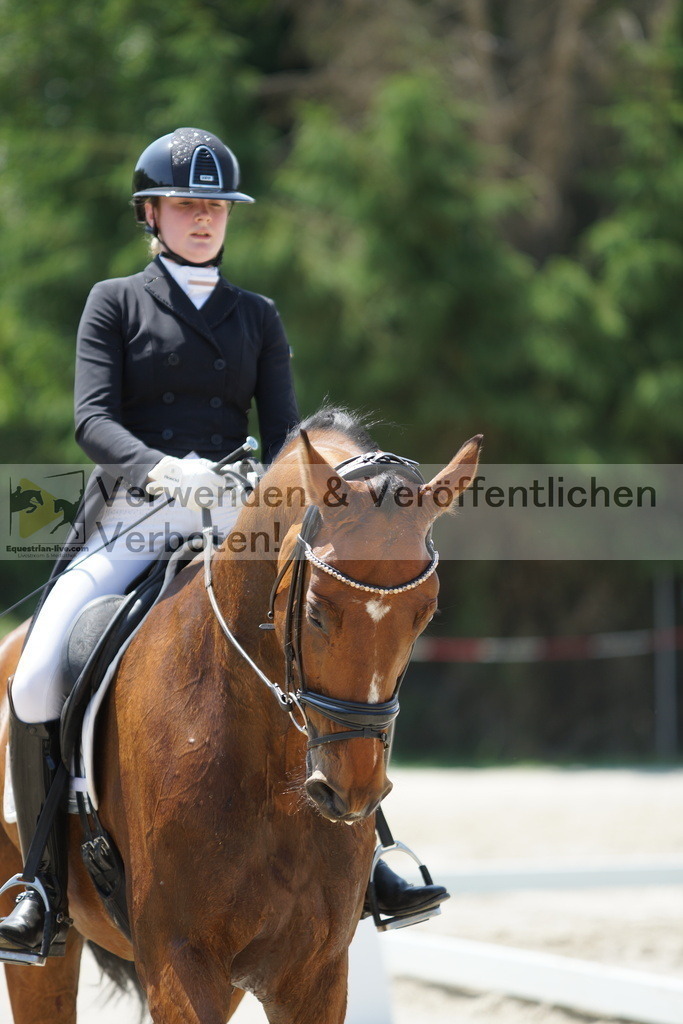 DSC05162 | equestrian-live-com
