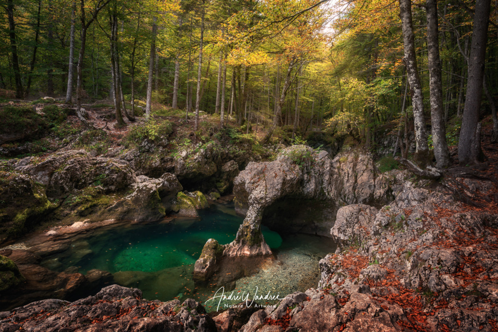 Im Zauberwald | Andre Wandrei - Nature Artworx - Realisiert mit Pictrs.com