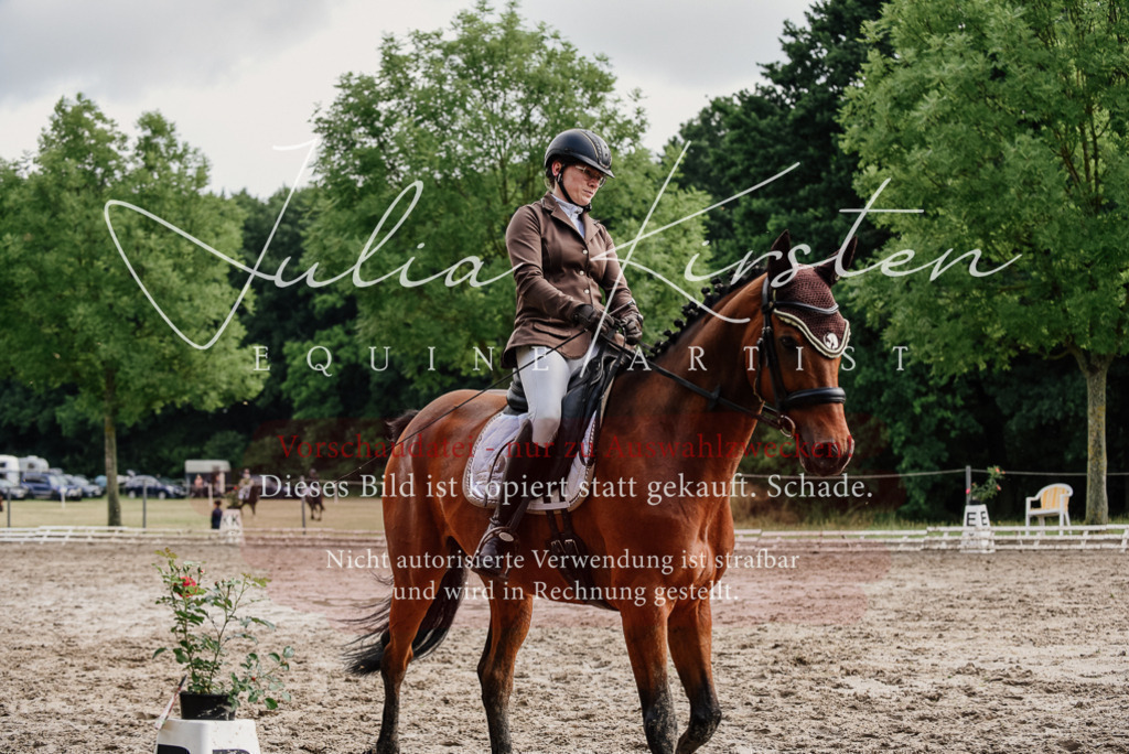 DSC_9526 | Pferde- und Turnierfotografie in Westsachsen. Pferdeportraits, Auftragszeichnungen und intuitive Kunst.