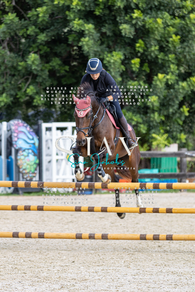 IMG_3104 | s-jay-photography - Realisiert mit Pictrs.com