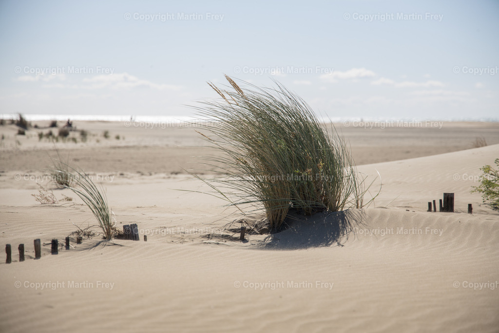 Dunes | Camargue - Realisiert mit Pictrs.com