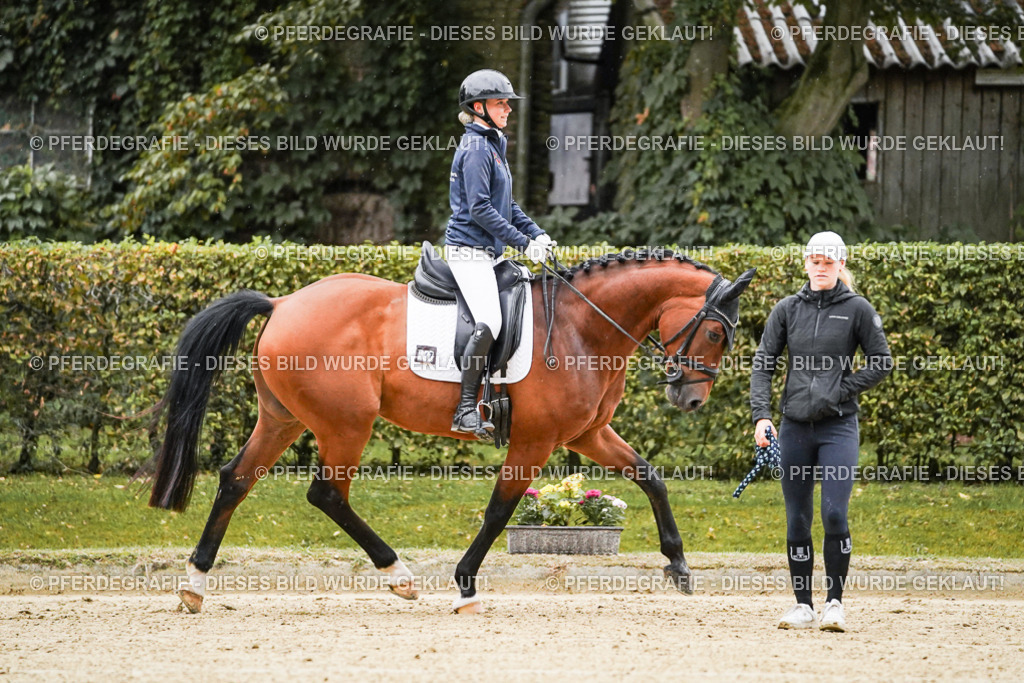 DSC06284 | Pferdegrafie