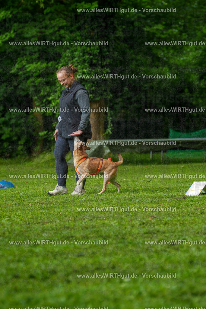 @allesWIRTHgut_Tierfotografie - www.allesWIRTHgut.de - 7R502032 | Professionelle Tierfotografie in Mönchengladbach von Daniel Wirth (allesWIRTHgut). Liebevolle & natürliche Bilder von Hunden & Katzen für unvergessliche Erinnerungen.