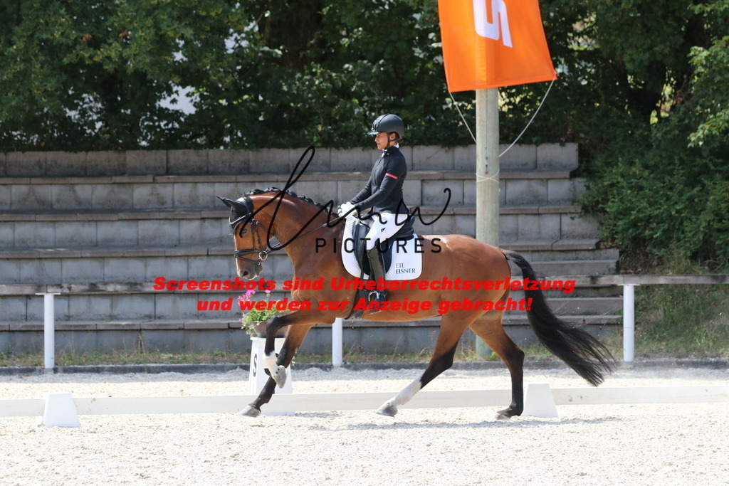 IMG_5033 | lmwpictures - Realisiert mit Pictrs.com