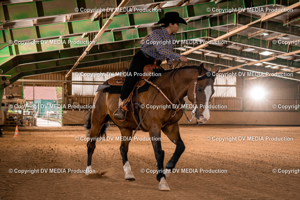 BA301134 | dv-media-shop - Realisiert mit Pictrs.com